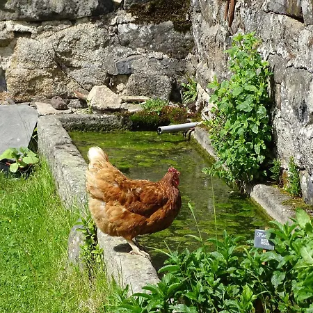 La Ferme De Madelonnet *